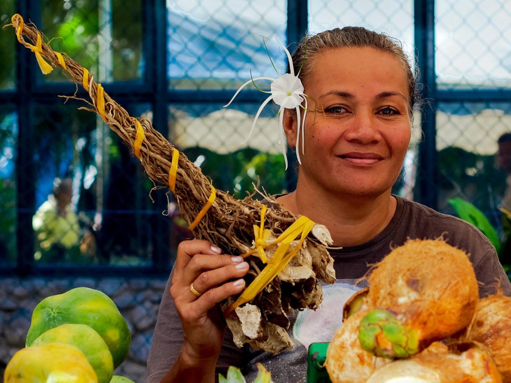 Dried kava as it's sold in the market 