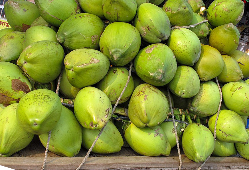 Green Coconuts-- you'll stay healhy in Fij by drinking it