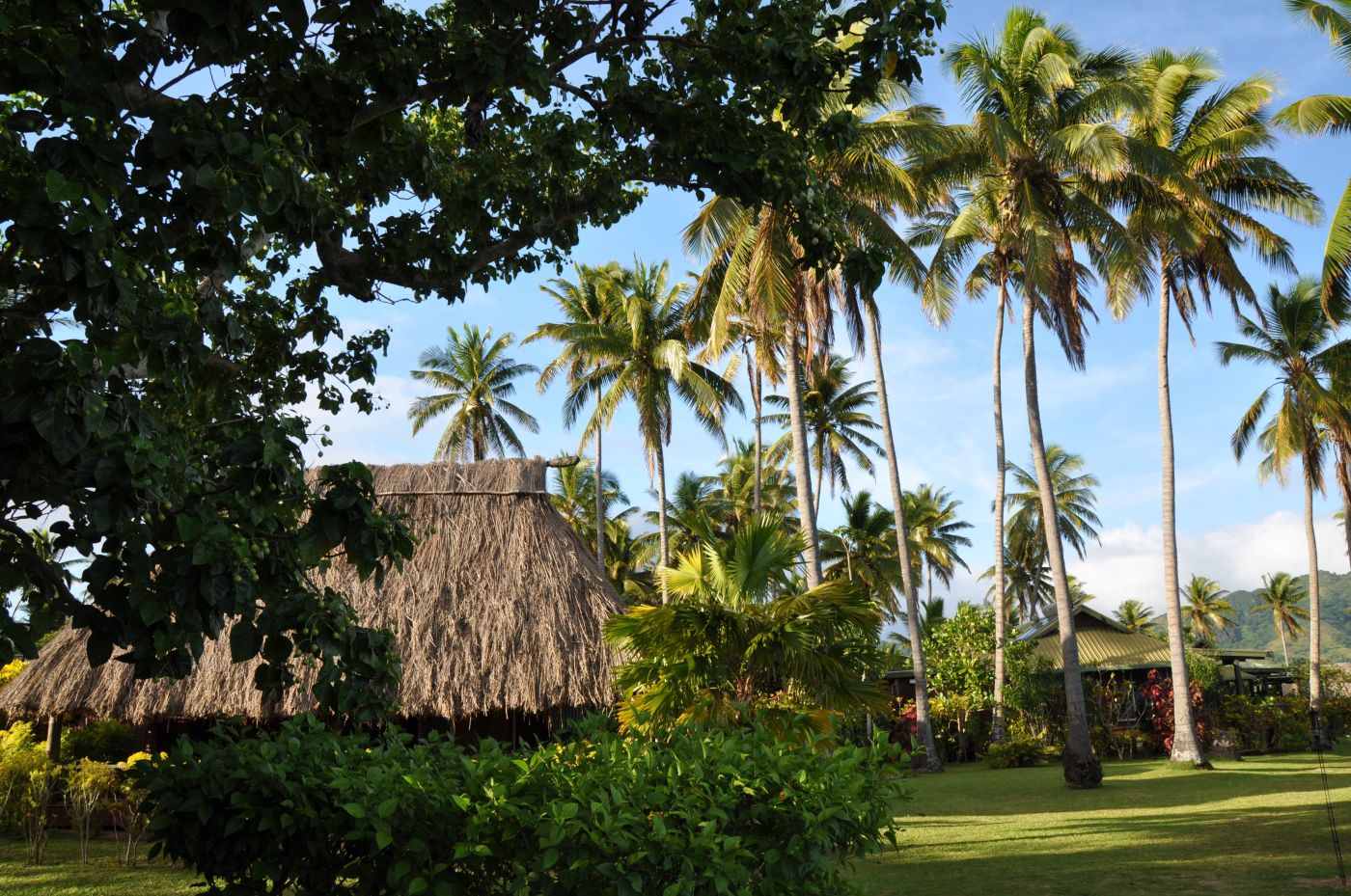 Nukubati has gorgeous, thatched roof bures