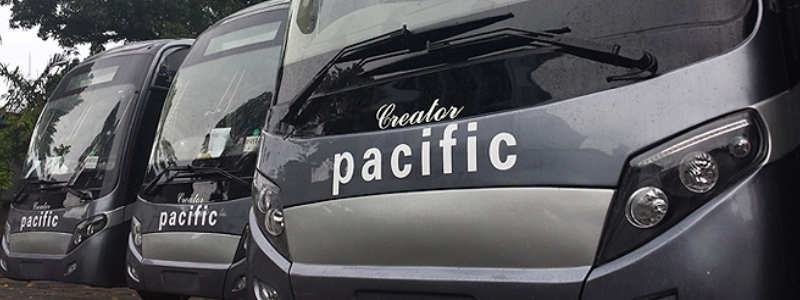 Pacific Transport Buses Lined up in a row