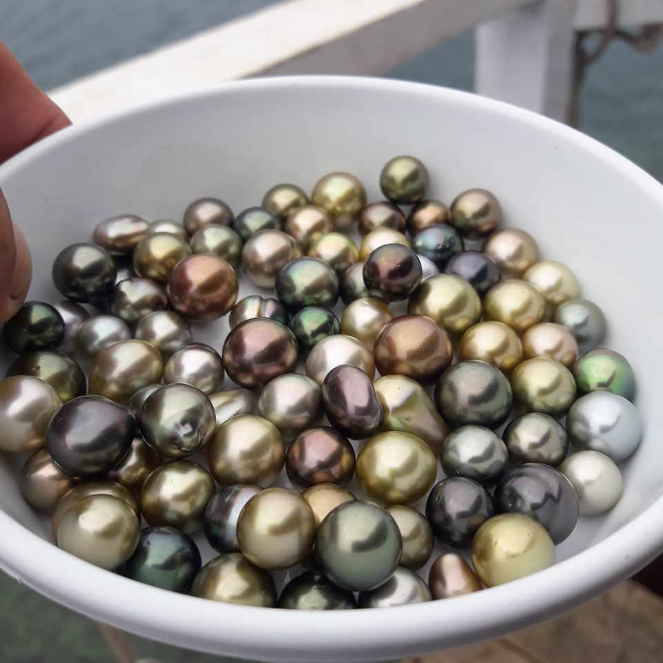 Taveuni grown pearls come in a variety of colors.