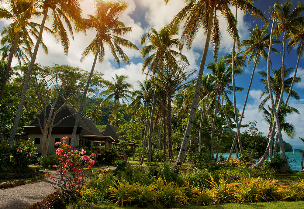 Lush gardens at Lalati Resort on Beqa Island