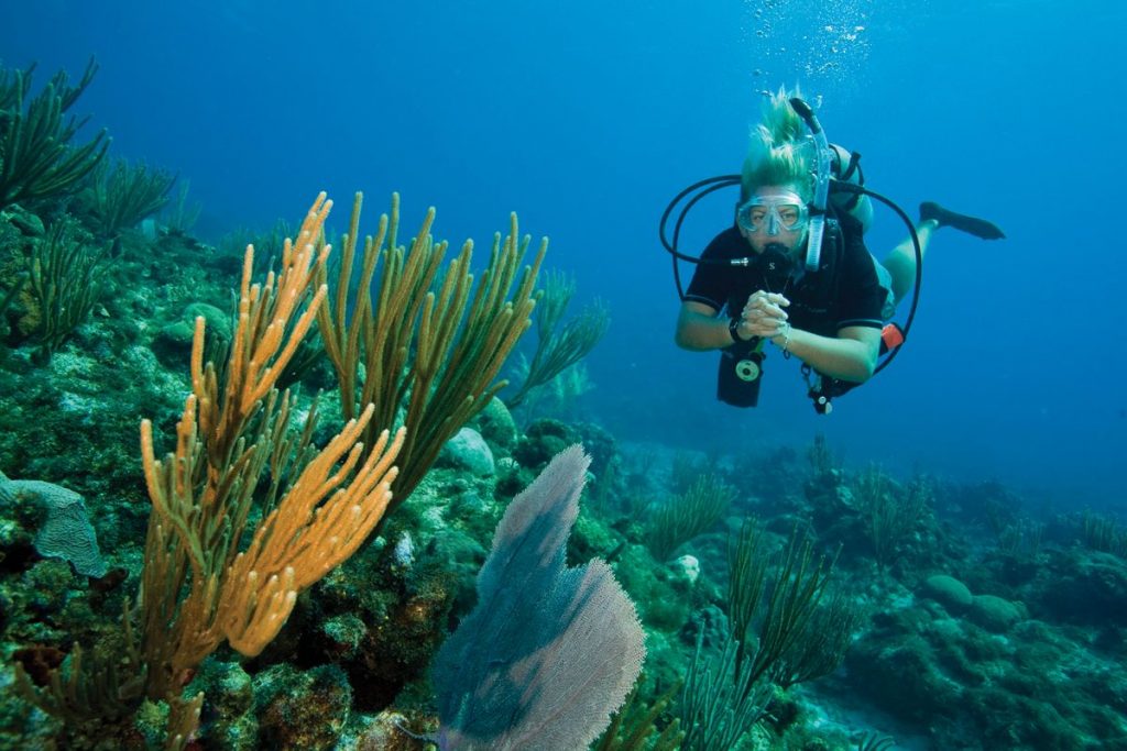 Diving at Blue Lagoon Beach Resort