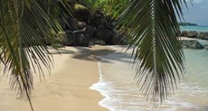 Taveuni Coastline in Fiji