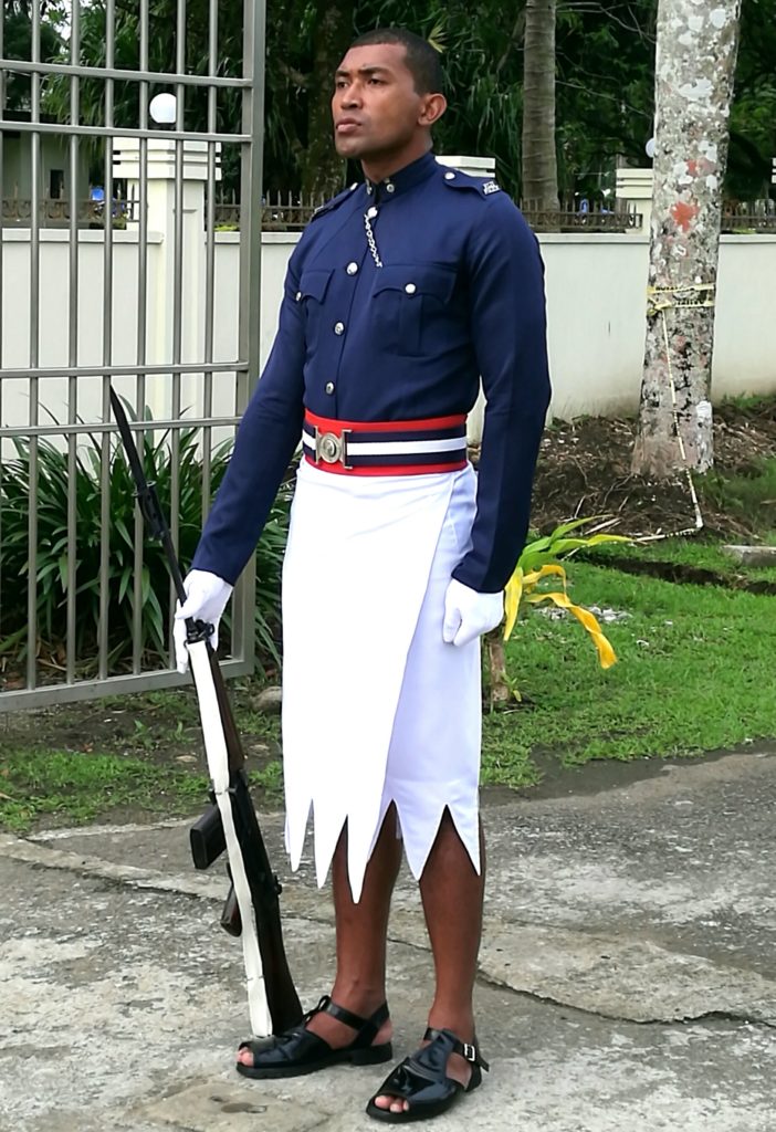 Solider standing guard at the Gate of the Presidential Palace