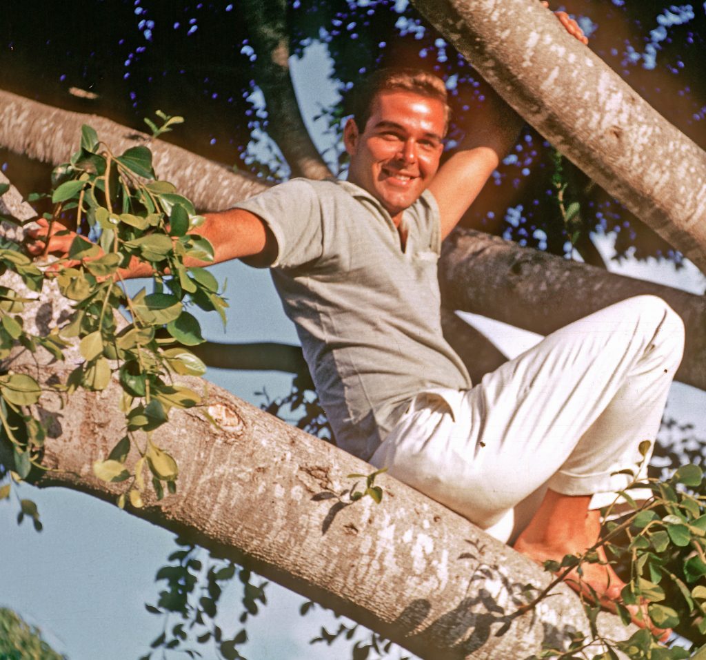 Al Schutz up a tree