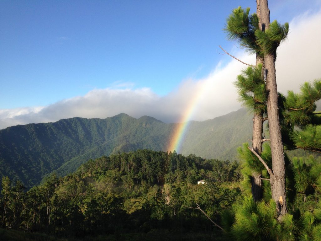 Nadarivatu Park by Talanoa Treks