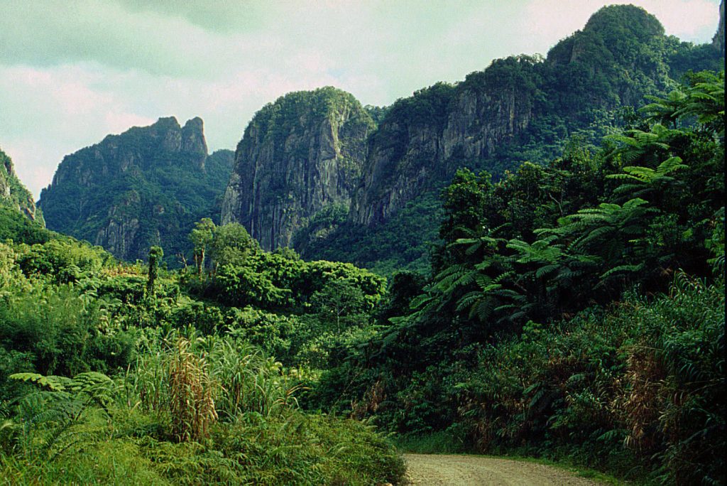 Vista in Namosi on Viti Levu