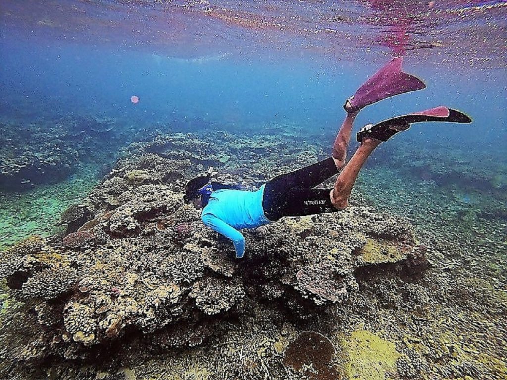 Roberta Davis inspects in a effort to promote reef restoration following Cyclone Tomasi in Taveuni