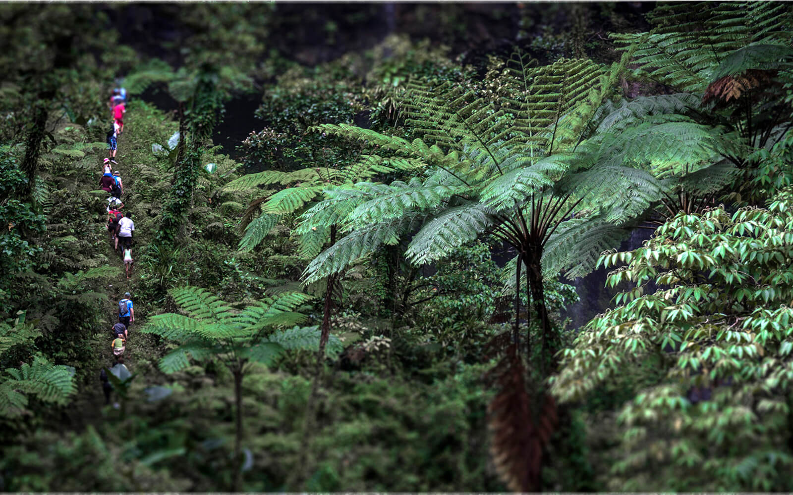 Talanoa Treks Excursion 