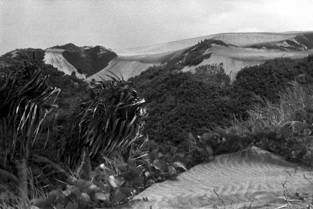 The Sigatoka Dunes are one of Fiji's natural wonders and a top Coral Coast attraction