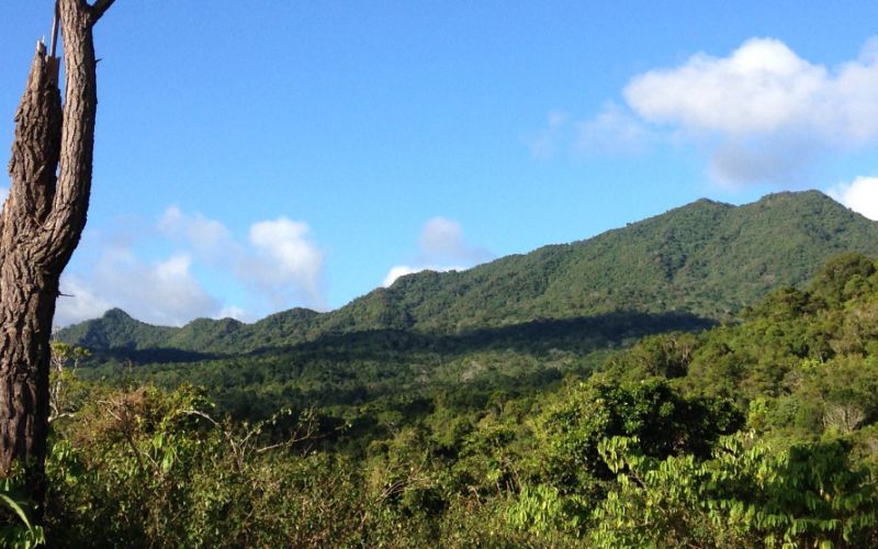 Fiji's highest mountain, Mt Tomaniivi (Mt Victoria), 1324m