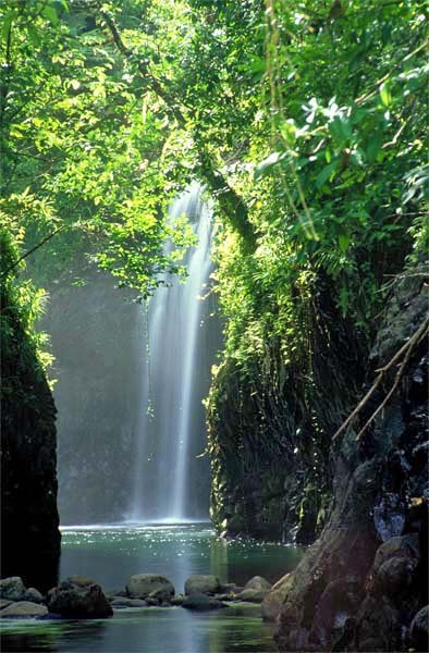 Ravilevu Nature Reserve has a haunting beauty