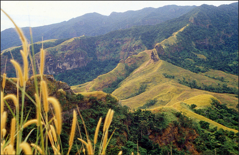 Koroyanitu National Heritage Park in the Nausori Highlands